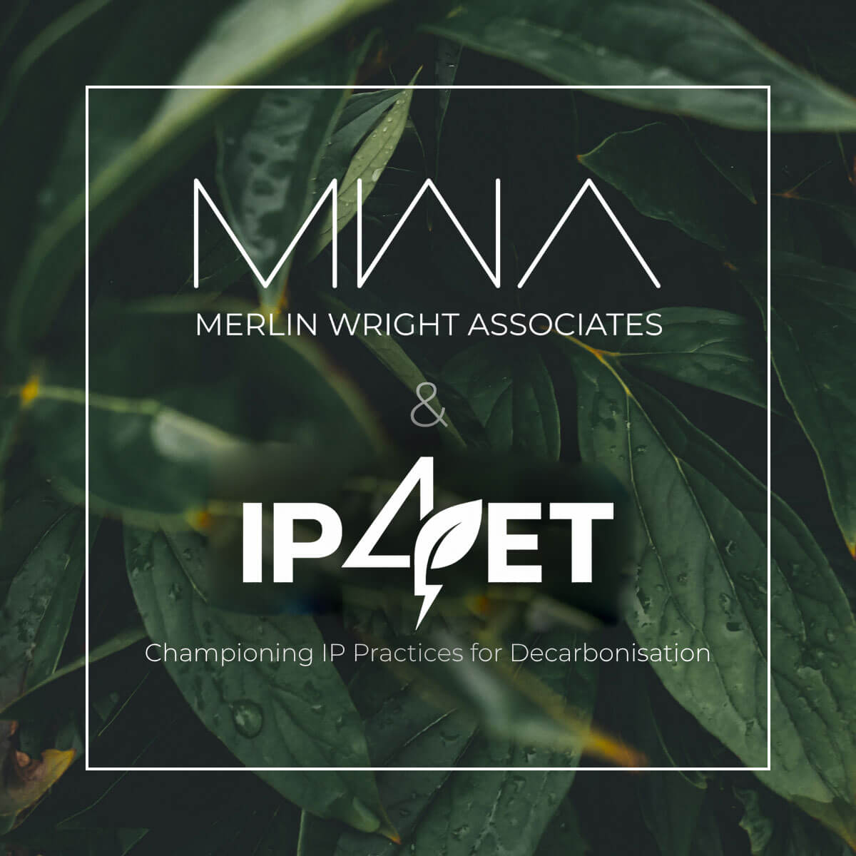 IP4ET